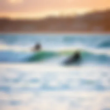 Surfers riding waves at Lahaina with the coastline in the background