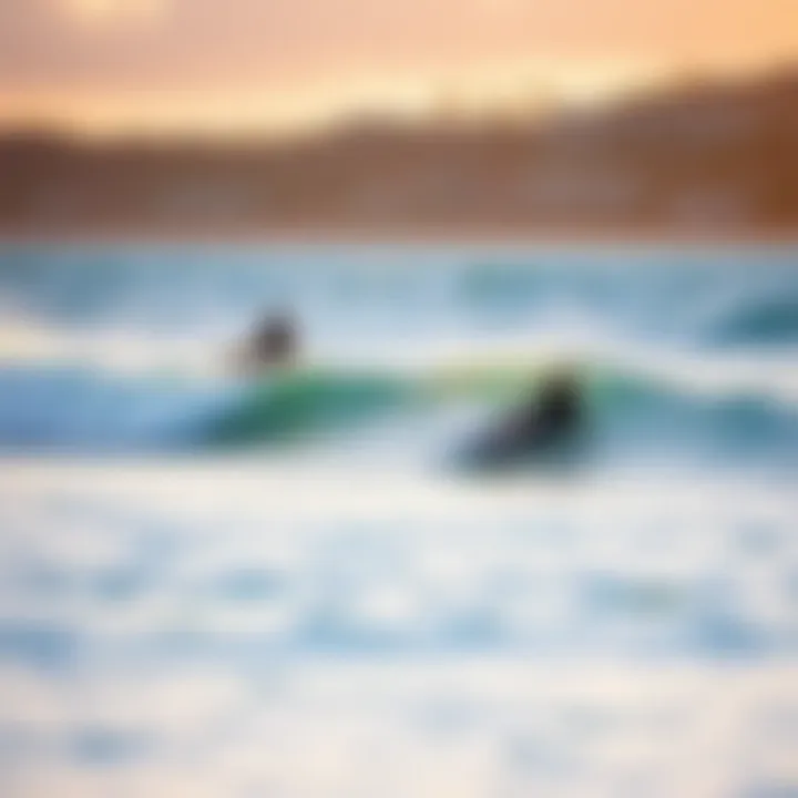 Surfers riding waves at Lahaina with the coastline in the background