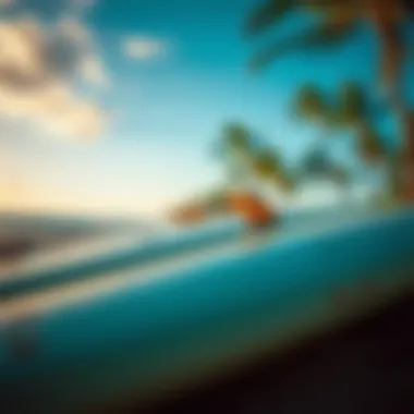 Close-up of surfboards lined up on the beach with palm trees in the background