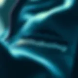 Iconic Billabong Logo on Apparel Billabong logo displayed on merchandise