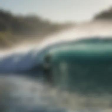 A community of surfers enjoying an inland surf event