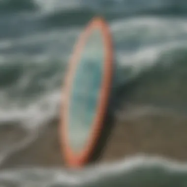 A variety of fish surfboards emphasizing their unique shape and versatility.