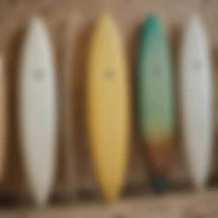 Display of various skimboard designs and sizes for performance comparison