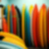 Colorful array of surfboards on display