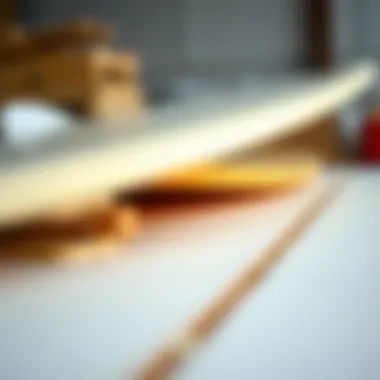 Different materials used in surfboard construction displayed side by side