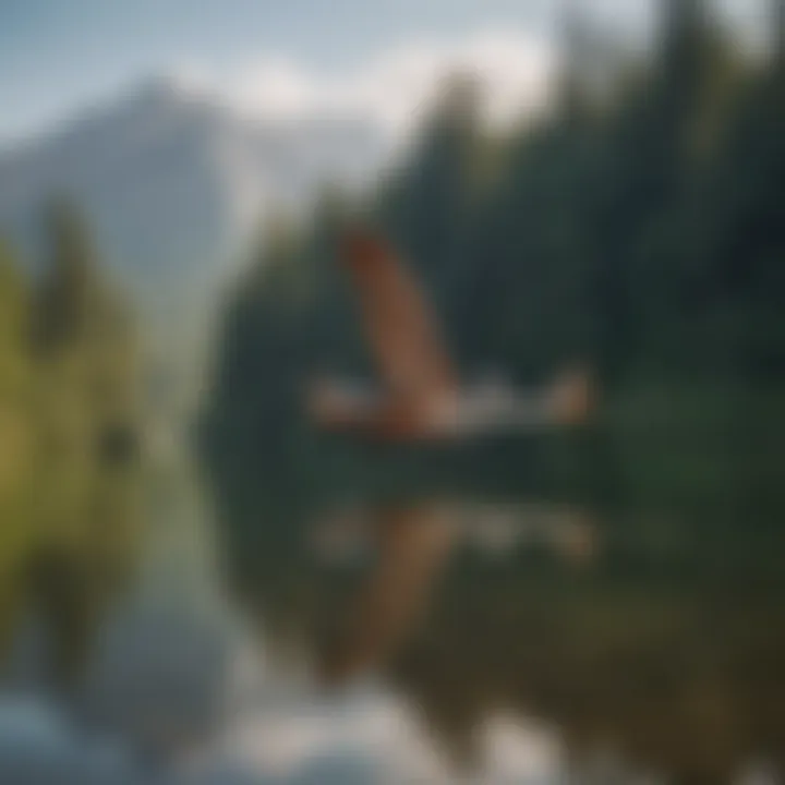 A serene scene showcasing multiple slingwings in action on a tranquil lake.