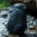 Patagonia Black Hole Backpack showcasing its rugged design