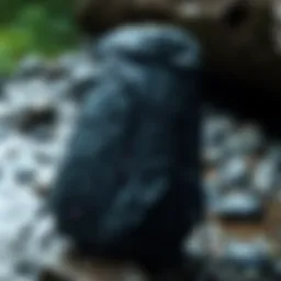 Patagonia Black Hole Backpack showcasing its rugged design