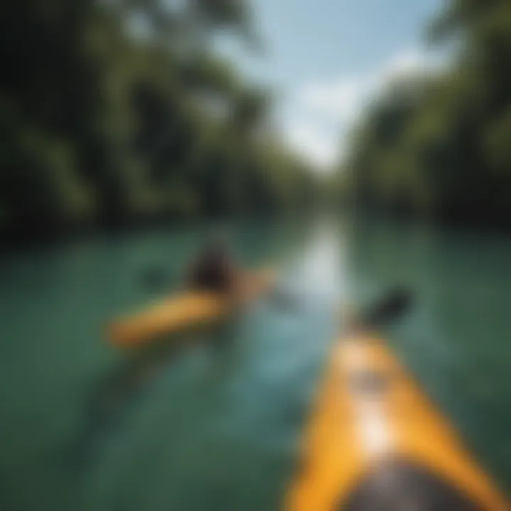 Kayaking through the serene waters of Rio Lagartos