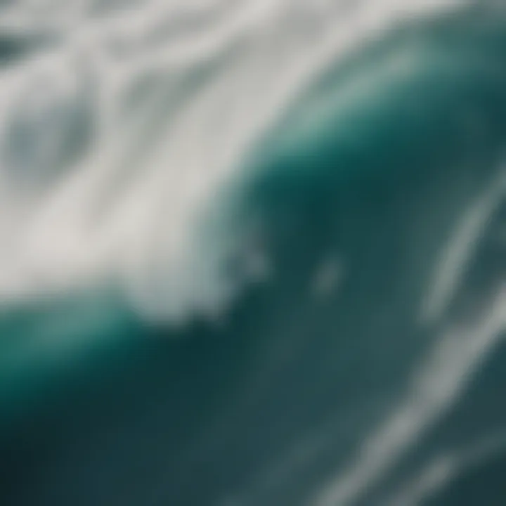 An aerial view of a big wave surfing competition, illustrating the thrilling atmosphere and the community surrounding the sport.