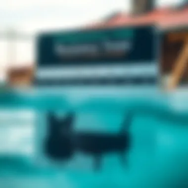 Comparative Analysis of Buoyancy Vests A comparison chart displaying different types of buoyancy vests