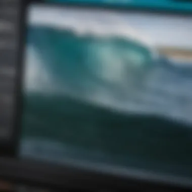 A close-up of the Surfline Cam interface displaying historical data