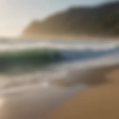 A group of surfers discussing conditions on the beach