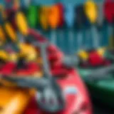 A vibrant display of kayaking gear showcasing various paddles and life vests