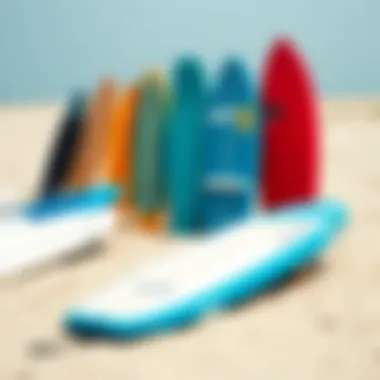 Different types of bodyboards displayed on the sand