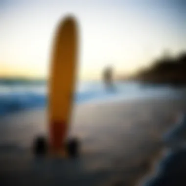 Cultural significance of longboarding within the watersport community