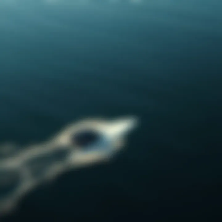 Efoil in Motion on Water An efoil gliding effortlessly over calm waters, highlighting its sleek profile.