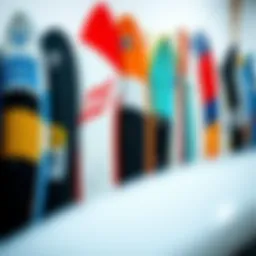 Diverse collection of watersport type boards lined up