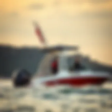 Maintenance tips for wake tower bimini care