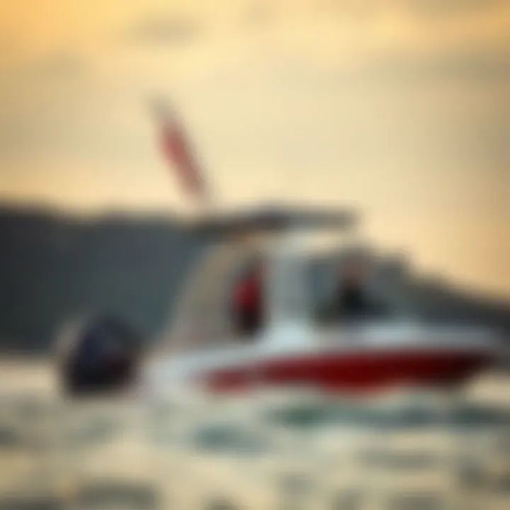 Maintenance tips for wake tower bimini care