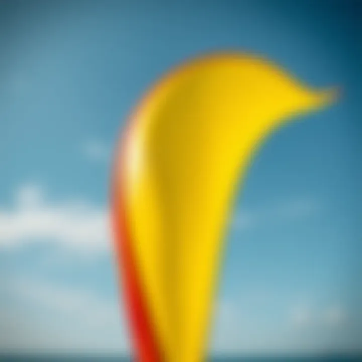 Vibrant Windsock Design Close-up of a bright windsock used in watersports