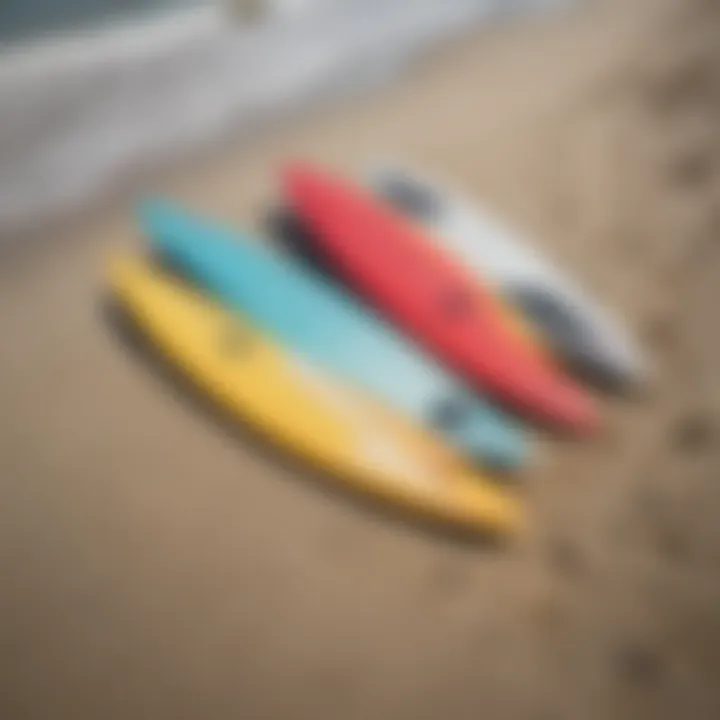 Surfboards lined up on the sandy beach