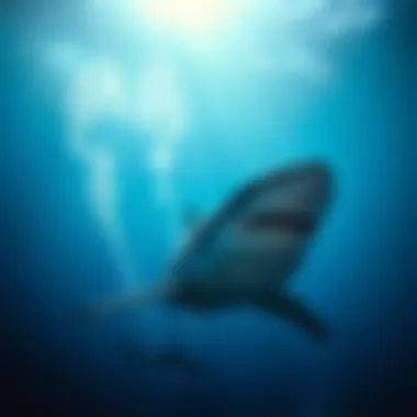 The stunning underwater scenery of Guadalupe Island