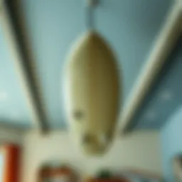 Surfboard elegantly suspended from ceiling in stylish interior