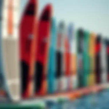 Diverse Models Various models of inflatable sailboards lined up