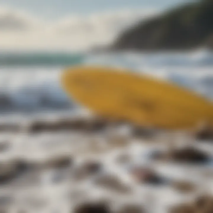 Close-up of debris in a surf environment