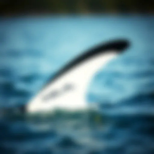 Innovative keel fin design for optimal performance in watersports