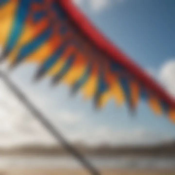 Close-up of the design features of a kite wing