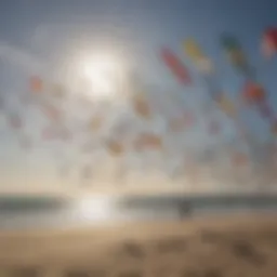 Diverse collection of kite wings displayed on a vibrant beach