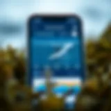 View of the Magic Seaweed app interface showcasing surf forecasts