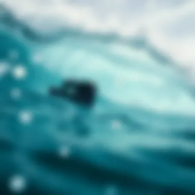 Understanding SD Card Speed Classes for GoPro Comparative analysis of SD card speed classes