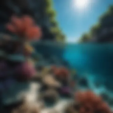 A beautiful underwater scene showcasing marine life and coral reefs