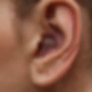 Anatomy of the ear showing the inner structures