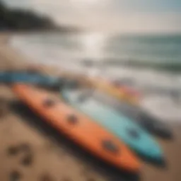 Diverse selection of beginner water sport boards displayed on a beach