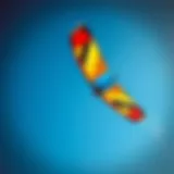 Vibrant Ozone Kite in Action Colorful Ozone kite soaring in the sky