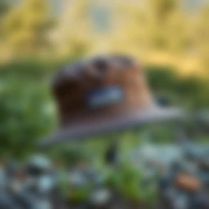 Patagonia Forge Hat displayed against a natural outdoor backdrop.