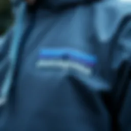 Close-up of the Patagonia Light Hoodie showcasing its high-quality fabric texture