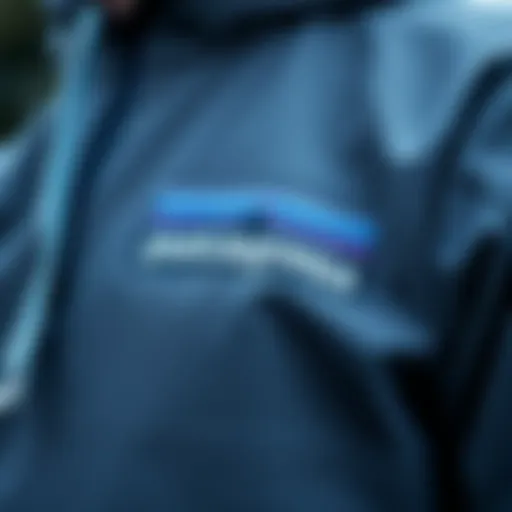 Close-up of the Patagonia Light Hoodie showcasing its high-quality fabric texture
