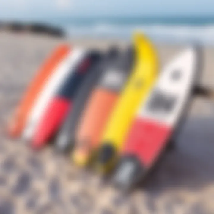 Comparison of Leading Bodyboard Brands A selection of bodyboards from various top brands displayed on a sandy beach.