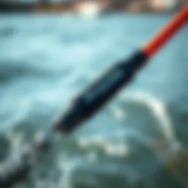 Close-up of ProLite leash showcasing its durable construction