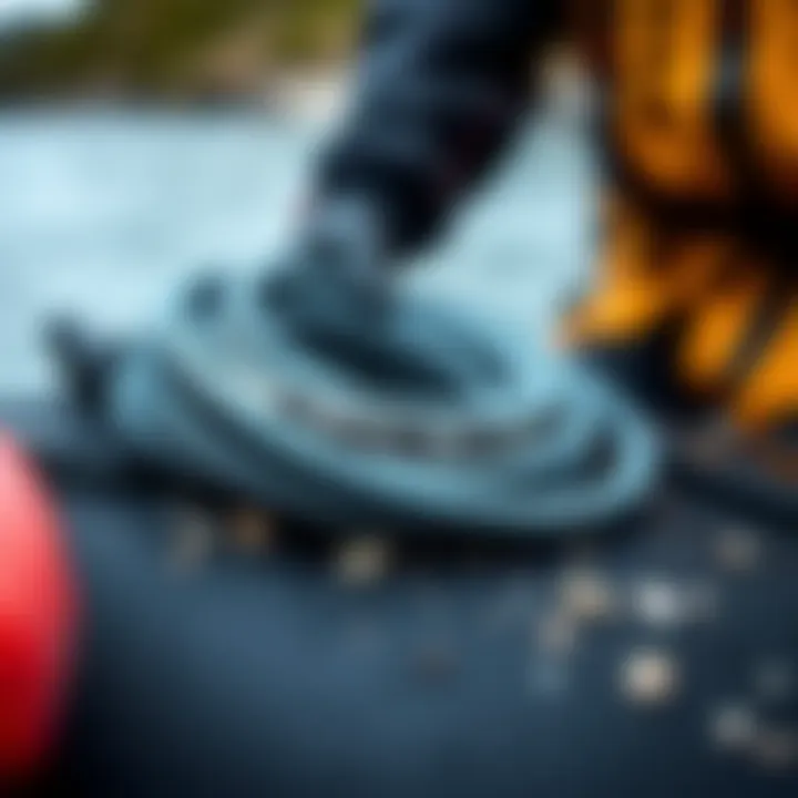 Maintenance tips for ProLite leashes displayed visually