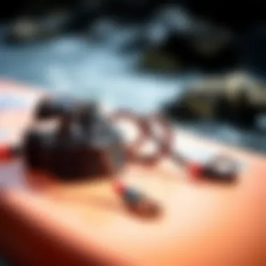 Comparison of different ProLite leash models