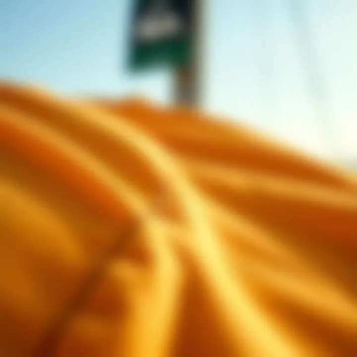 Quality Fabric and Stitching of Everyday Volley Close-up of fabric texture and stitching details