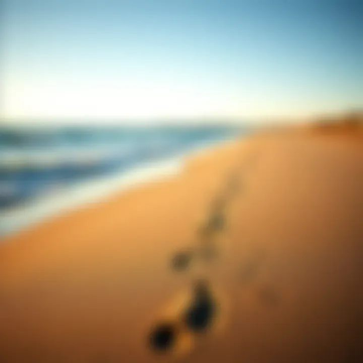 Footprints in the sand along the shoreline