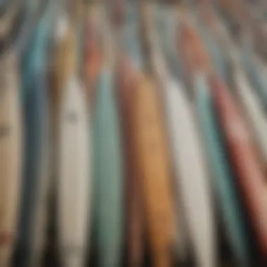 Close-up of various surfboard types available for rent