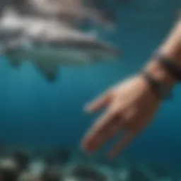 Illustration of the Shark Off Bracelet in aquatic surroundings